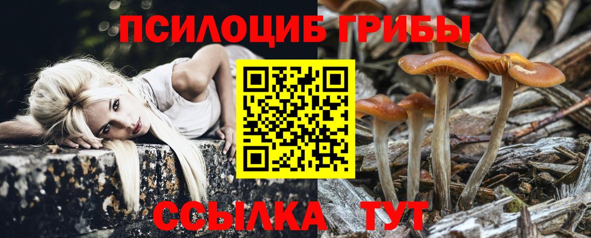 Псилоцибиновые грибы прущие грибы Гагарин