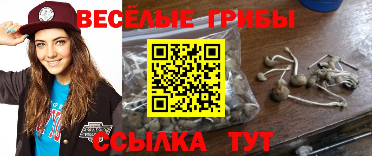 Галлюциногенные грибы мицелий  Вход с VPN  наркотики  Гагарин 